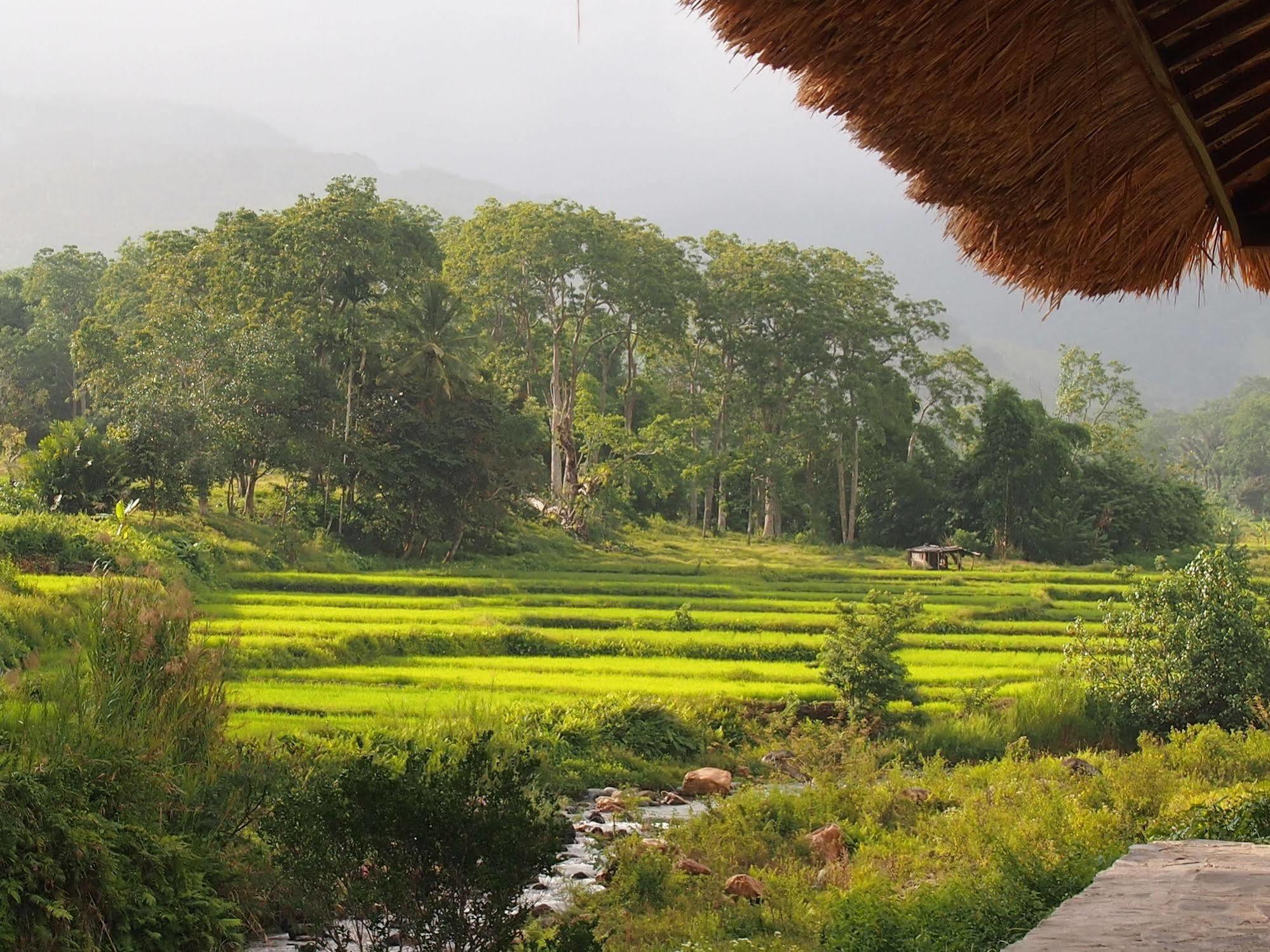 Kelimutu Crater Lakes Ecolodge Desa Kowanara Eksteriør bilde